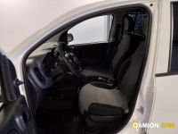Fiat PANDA panda | Centro Auto Rossi SRL