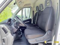 Opel MOVANO movano | Centro Auto Rossi SRL
