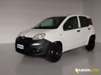 Fiat PANDA panda | Centro Auto Rossi SRL