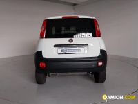 Fiat PANDA panda | Centro Auto Rossi SRL