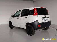 Fiat PANDA panda | Centro Auto Rossi SRL