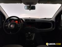 Fiat PANDA panda | Centro Auto Rossi SRL
