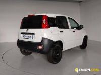 Fiat PANDA panda | Centro Auto Rossi SRL