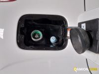 Fiat PANDA panda | Centro Auto Rossi SRL