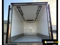 Iveco Modello VERSIONE | Altro Altro | Zanoni Srl
