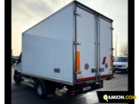 Iveco Modello VERSIONE | Altro Altro | Zanoni Srl