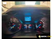 Ford MODELLO VERSIONE | Altro Altro | Zanoni Srl