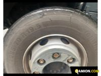 Man TGM 15.290 4X2 LL TGM 15.290 4X2 LL | Altro Altro | Zanoni Srl