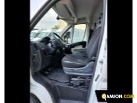 Citroen MODELLO VERSIONE | Altro Altro