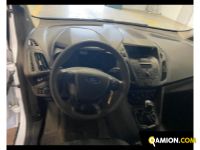 Ford MODELLO VERSIONE | Altro Altro | Zanoni Srl