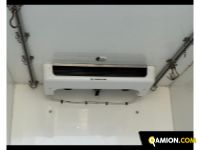 Iveco Modello VERSIONE | Altro Altro | Zanoni Srl