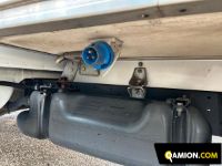 Iveco DAILY 35C15 | Altro Altro | S.G. TRADING S.R.L.