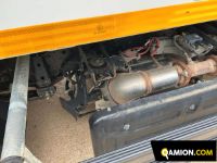 Isuzu P75 p75 | Altro Altro | S.G. TRADING S.R.L.