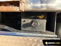 Man TGX tgx26.360 | Altro Altro | S.G. TRADING S.R.L.