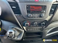 Iveco DAILY 35C14 DAILY 35C14 | S.G. TRADING S.R.L.