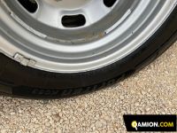 Iveco DAILY 35C14 | Altro Altro | S.G. TRADING S.R.L.