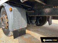 Man TGS tgs26.320 | Altro Altro | S.G. TRADING S.R.L.