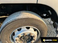 Man TGX tgx26.360 | Altro Altro | S.G. TRADING S.R.L.