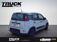 Fiat Panda III Panda van 1.0 hybrid Street 70cv 4p.ti serie 4 E6d | Altro Altro | Truck Italia S.p.a.