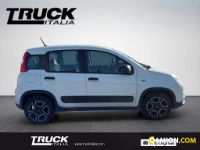 Fiat Panda III Panda van 1.0 hybrid Street 70cv 4p.ti serie 4 E6d | Altro Altro | Truck Italia S.p.a.
