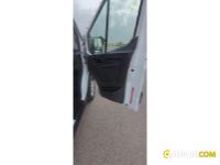 Ford Transit VII 350 RWD 2019 - transit 350 tr.post. 2.0 tdci MHE Transit VII 350 RWD 2019 - transit 350 tr.post. 2.0 tdci MHE | CILIFRESE DOMENICO