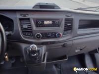 Ford Transit VII 350 RWD 2019 - transit 350 tr.post. 2.0 tdci MHE Transit VII 350 RWD 2019 - transit 350 tr.post. 2.0 tdci MHE | CILIFRESE DOMENICO