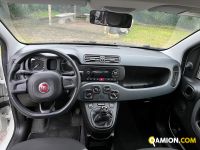 Fiat PANDA panda | BEDIN ALBERTO