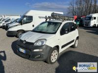 Fiat PANDA PANDA | Leggero Furgone > 35 q.li Altro | Borgo Agnello S.p.A.