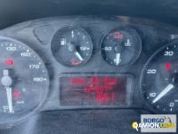 Iveco DAILY 35S14 DAILY 35S14 | Leggero Furgone > 35 q.li Altro | Borgo Agnello S.p.A.