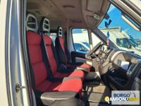 Fiat DUCATO DUCATO | Bus Minibus | Borgo Agnello S.p.A.