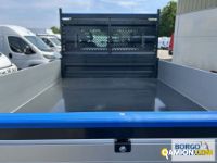 Iveco DAILY 35C14 DAILY 35C14 | Mezzi d'opera / mezzi da cantiere Altro | Borgo Agnello S.p.A.