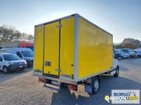 Iveco DAILY 35S14 DAILY 35S14 | Altro Isotermico / coibentato | Borgo Agnello S.p.A.