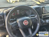 Fiat DUCATO DUCATO | Leggero Furgone > 35 q.li Altro | Borgo Agnello S.p.A.