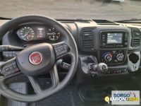 Fiat DUCATO DUCATO | Altro Isotermico / coibentato | Borgo Agnello S.p.A.