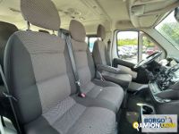 Fiat DUCATO DUCATO | Bus Minibus | Borgo Agnello S.p.A.