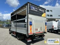 Iveco DAILY 70C18 DAILY 70C18 | Motrice Cassone fisso con centina | Borgo Agnello S.p.A.