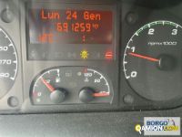 Iveco DAILY 35C17 DAILY 35C17 | Altro Isotermico / coibentato | Borgo Agnello S.p.A.