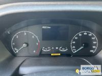 Ford Transit Custom Transit Custom | Leggero Furgone > 35 q.li Altro | Borgo Agnello S.p.A.