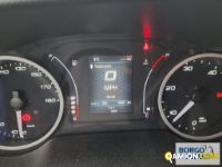 Iveco DAILY 35C16 DAILY 35C16 | Altro Isotermico / coibentato | Borgo Agnello S.p.A.