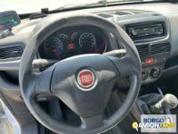 Fiat DOBLO DOBLO | Altro Isotermico / coibentato | Borgo Agnello S.p.A.