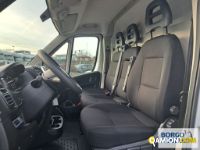 Fiat DUCATO DUCATO | Altro Isotermico / coibentato | Borgo Agnello S.p.A.