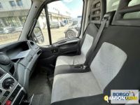 Iveco DAILY 70C17 | Motrice Isotermico / coibentato | Borgo Agnello S.p.A.