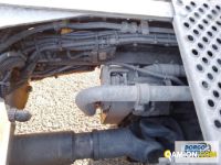 Iveco STRALIS TRATTORE AS-440S48T P STRALIS TRATTORE AS-440S48T P | Trattore Trattore mezzo d'opera | Borgo Agnello S.p.A.