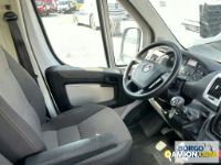 Fiat DUCATO DUCATO | Bus Minibus | Borgo Agnello S.p.A.