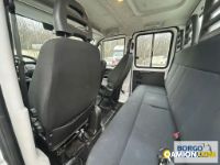 Iveco DAILY 35C16 DAILY 35C16 | Mezzi d'opera / mezzi da cantiere Altro | Borgo Agnello S.p.A.