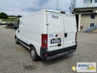 Fiat DUCATO DUCATO | Altro Isotermico / coibentato | Borgo Agnello S.p.A.