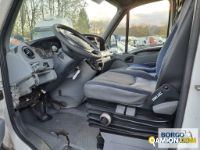 Iveco DAILY 35S16 DAILY 35S16 | Leggero Furgone > 35 q.li Altro | Borgo Agnello S.p.A.