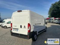 Fiat DUCATO DUCATO | Leggero Furgone > 35 q.li Altro | Borgo Agnello S.p.A.