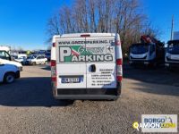 Fiat DUCATO DUCATO | Bus Minibus | Borgo Agnello S.p.A.