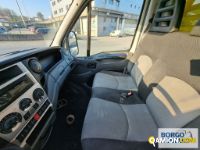 Iveco DAILY 35S14 DAILY 35S14 | Altro Isotermico / coibentato | Borgo Agnello S.p.A.